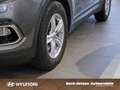 Hyundai SANTA FE 2.2 CRDi DPF Premium blue 4WD KAMERA Silber - thumbnail 5