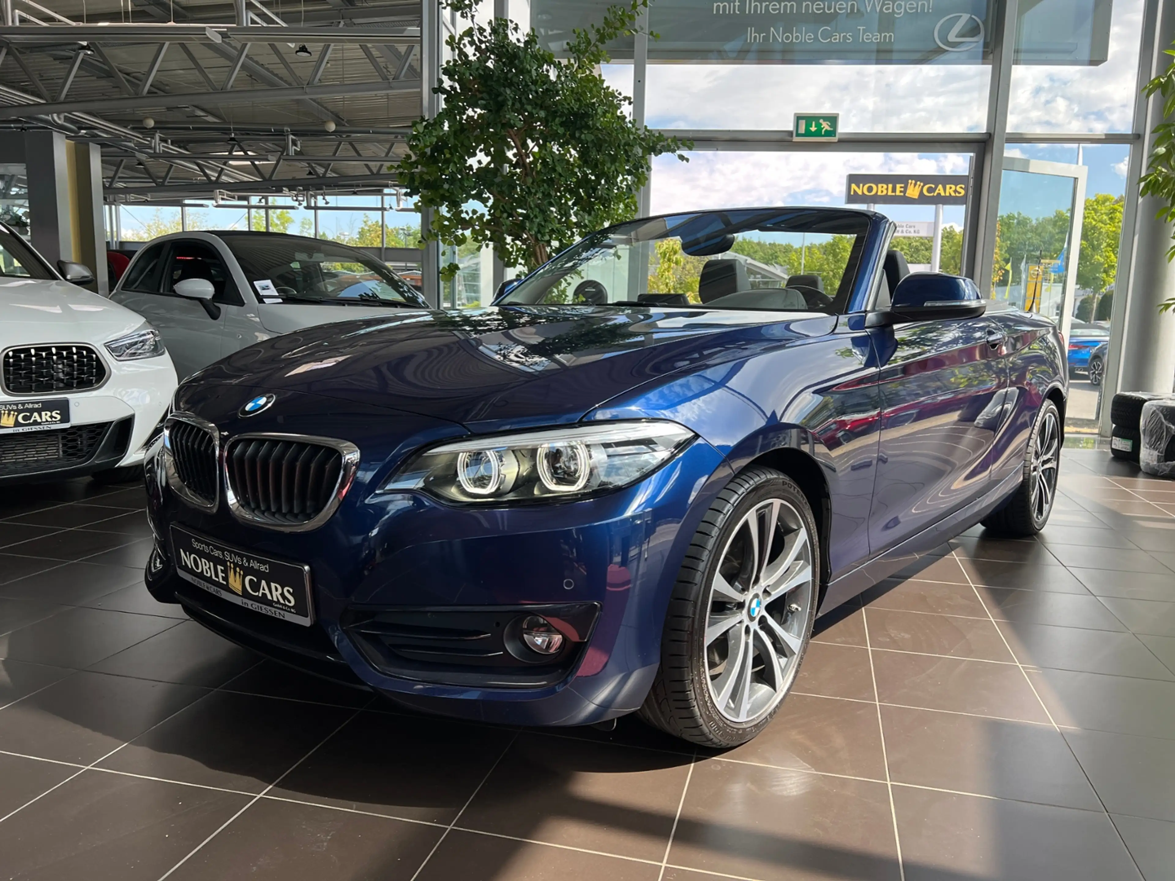 BMW 230 i Cabrio Sport Line H/K LEDER LED NAV RFK 18" — photo 4