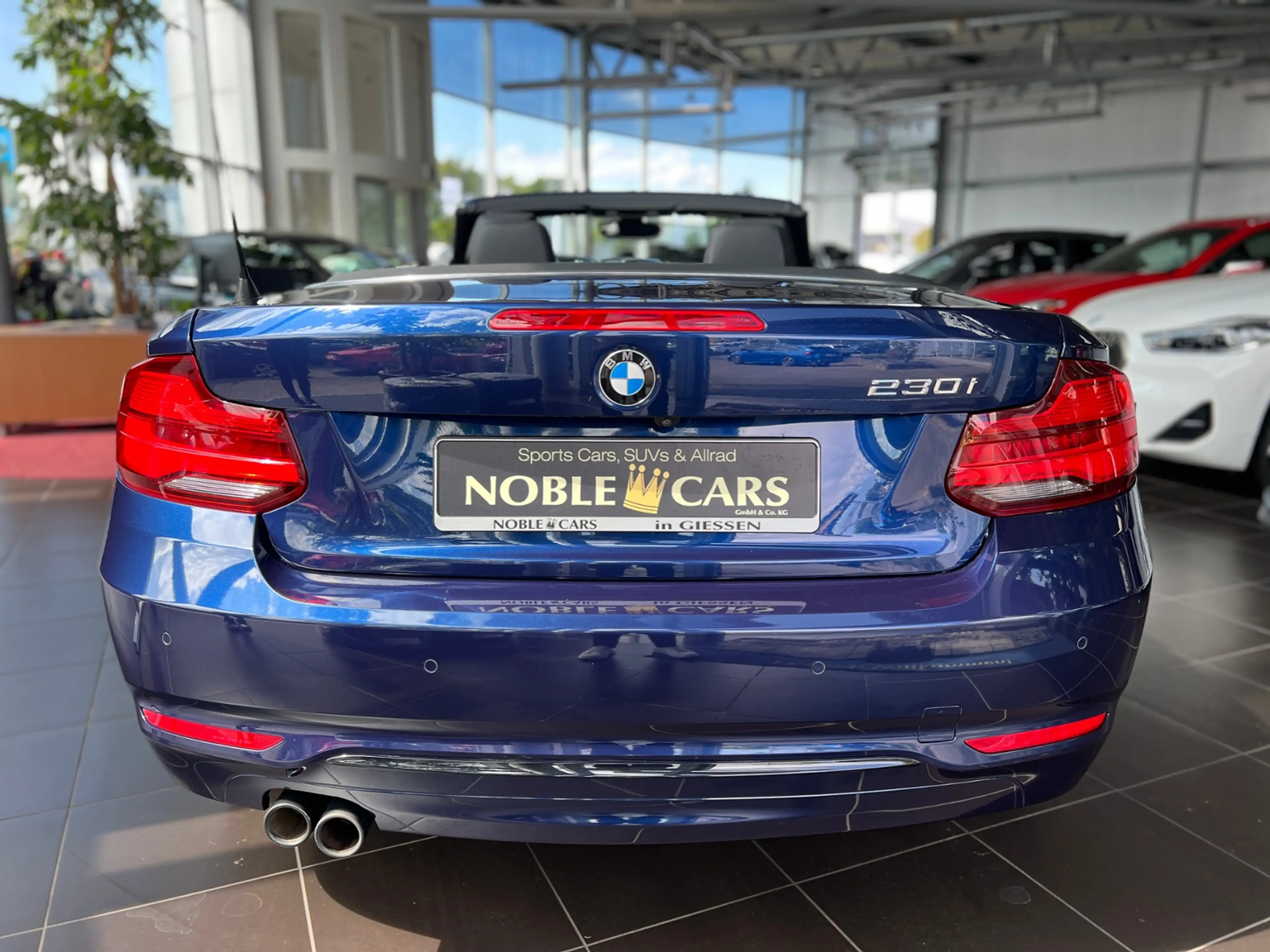 BMW 230 i Cabrio Sport Line H/K LEDER LED NAV RFK 18" — photo 7