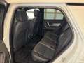 Land Rover Discovery Sport R-Dynamic SE AWD~PANO~HUD~LEDER Weiß - thumbnail 12