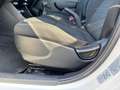 Kia Picanto 1.0 CVVT EconomyLine Wit - thumbnail 12