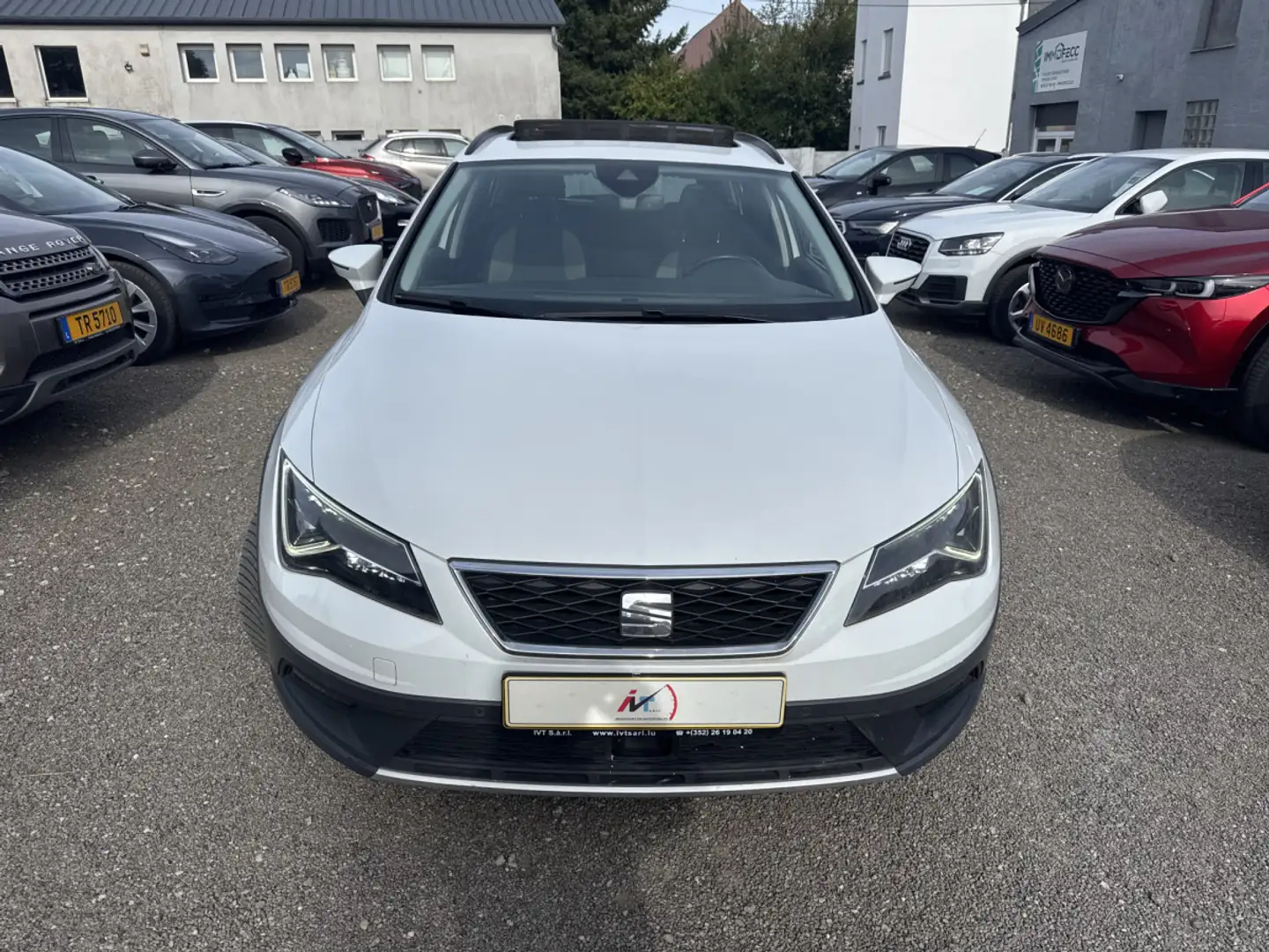 SEAT Leon 2.0 TDI DSG X-PERIENCE 4Drive 184CV Blanc - 2