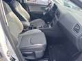 SEAT Leon 2.0 TDI DSG X-PERIENCE 4Drive 184CV Blanc - thumbnail 11
