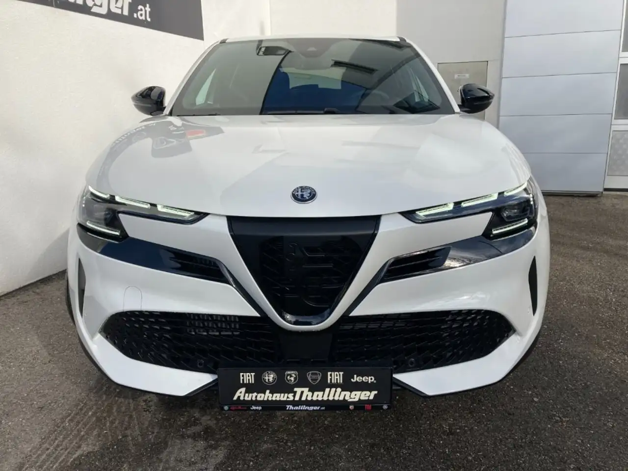 Alfa Romeo Junior 2026