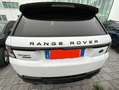 Land Rover Range Rover Sport Range Rover Sport 5.0 V8 HSE Dynamic Supercharged Bianco - thumbnail 11
