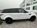 Land Rover Range Rover Sport Range Rover Sport 5.0 V8 HSE Dynamic Supercharged Bianco - thumbnail 12