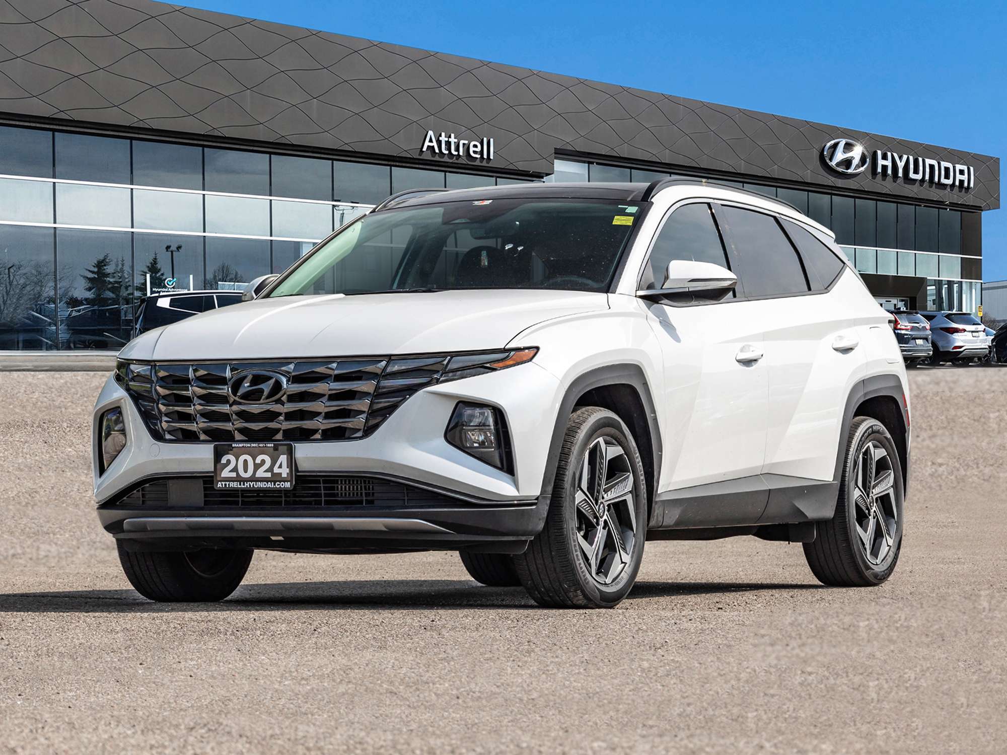 White 2024 Hyundai Tucson Hybrid SUV / Crossover  6-Speed Automatic
