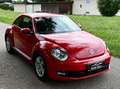 Volkswagen Beetle The TSI Design*Klimaaut.*Tempomat*SHZ*Bestpreis* Red - thumbnail 3