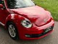 Volkswagen Beetle The TSI Design*Klimaaut.*Tempomat*SHZ*Bestpreis* Red - thumbnail 4