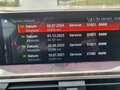 BMW X3 xDrive 20 d Luxury Line / M Sport Weiß - thumbnail 19