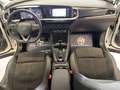 Opel Grandland 1500 ECOTEC 130 CV EAT8 ULTIMATE VARI COLORI Bianco - thumbnail 11