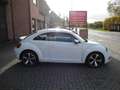 Volkswagen Beetle The Beetle 1.2 TSI*airco*gps*pdc VA/HA*garantie Wit - thumbnail 6