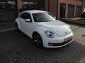 Volkswagen Beetle The Beetle 1.2 TSI*airco*gps*pdc VA/HA*garantie Wit - thumbnail 7