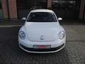 Volkswagen Beetle The Beetle 1.2 TSI*airco*gps*pdc VA/HA*garantie Wit - thumbnail 8
