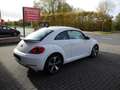 Volkswagen Beetle The Beetle 1.2 TSI*airco*gps*pdc VA/HA*garantie Wit - thumbnail 5