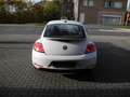Volkswagen Beetle The Beetle 1.2 TSI*airco*gps*pdc VA/HA*garantie Wit - thumbnail 4