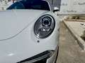 Porsche 911 911 Cabrio 3.4  pdk*KM 80000!!!*20"*XENO*PCM1* Bianco - thumbnail 7