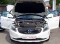 Volvo XC60 Ocean Race  2,4 AWD Weiß - thumbnail 7