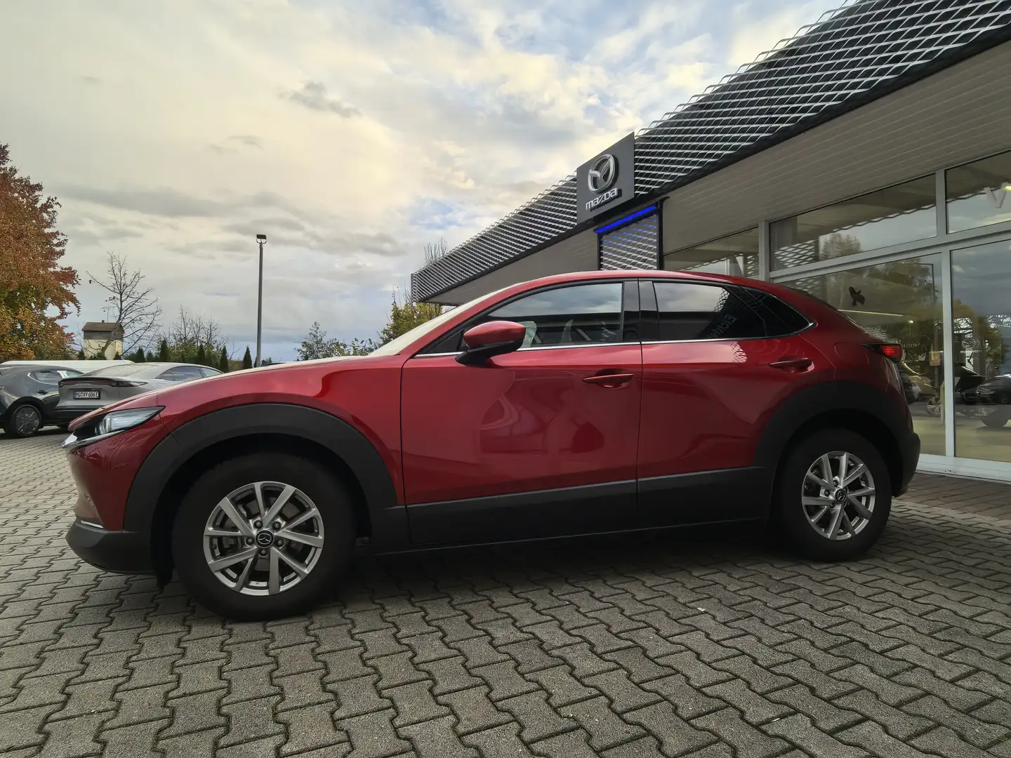 Mazda CX-30 L SKYACTIV-G 2.0 M Hybrid 6AG AL-SELECTION A18 DES Rouge - 2