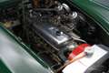 Austin-Healey 3000 MK3 | Body-off gerestaureerd | 1966 Groen - thumbnail 3