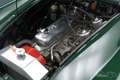 Austin-Healey 3000 MK3 | Body-off gerestaureerd | 1966 Groen - thumbnail 5