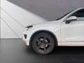 Volkswagen Touareg V6 TDI BMT/Start-Stopp Terr Tech 4Motion Weiß - thumbnail 21