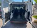 Fiat Doblo 1.6 MJT S&S PL-TN Cargo Maxi Lounge Blanc - thumbnail 3