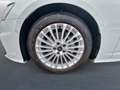 Audi A6 Avant 50 TDI qu S line Luft STHZG Kam. Design Weiß - thumbnail 7