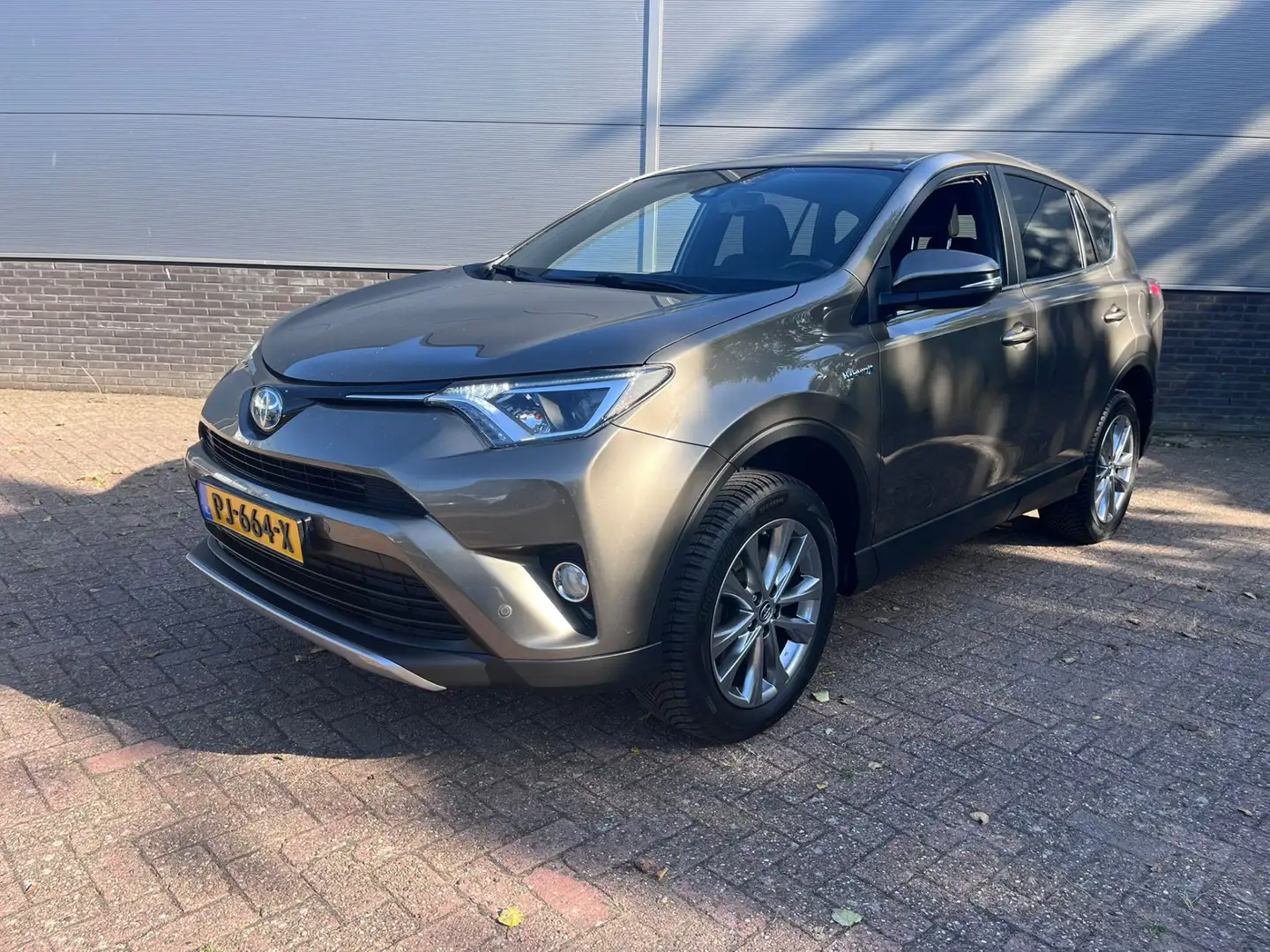 Toyota RAV 4 2.5 Hybrid Dynamic Sport Bruin - 1