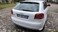 Audi S3 2.0 tfsi quattro - thumbnail 6
