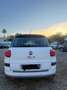 Fiat 500L 500L 1.4 95 CV Lounge Bianco - thumbnail 7
