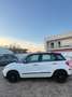 Fiat 500L 500L 1.4 95 CV Lounge Bianco - thumbnail 11