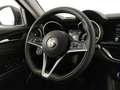 Alfa Romeo Stelvio 2.2 t Executive Q4 210cv auto Grigio - thumbnail 9