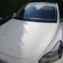 Tesla Model Y Model Y Long Range Dual Motor AWD Белый - thumbnail 1