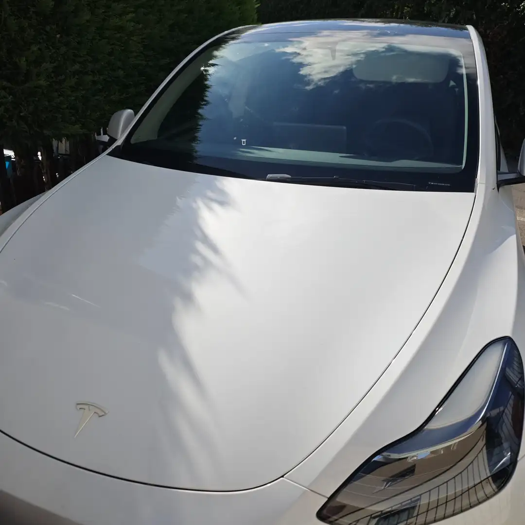 Tesla Model Y Model Y Long Range Dual Motor AWD Белый - 1