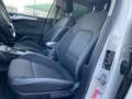 Ford Focus 1.5 EcoBlue 120 CV automatico SW Business Co-Pilot Bianco - thumbnail 9