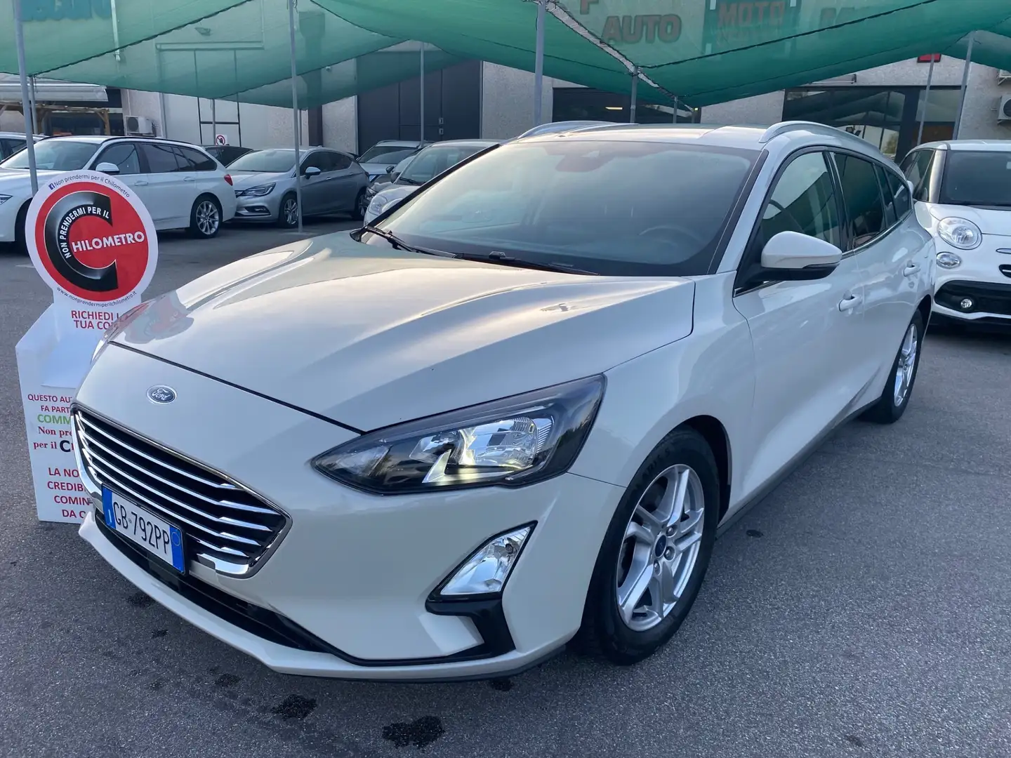 Ford Focus 1.5 EcoBlue 120 CV automatico SW Business Co-Pilot Bianco - 1