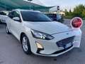 Ford Focus 1.5 EcoBlue 120 CV automatico SW Business Co-Pilot Bianco - thumbnail 6