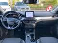 Ford Focus 1.5 EcoBlue 120 CV automatico SW Business Co-Pilot Bianco - thumbnail 7