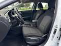 Kia 1.0 MHEV (100CV) DCT Drive Blanco - thumbnail 8