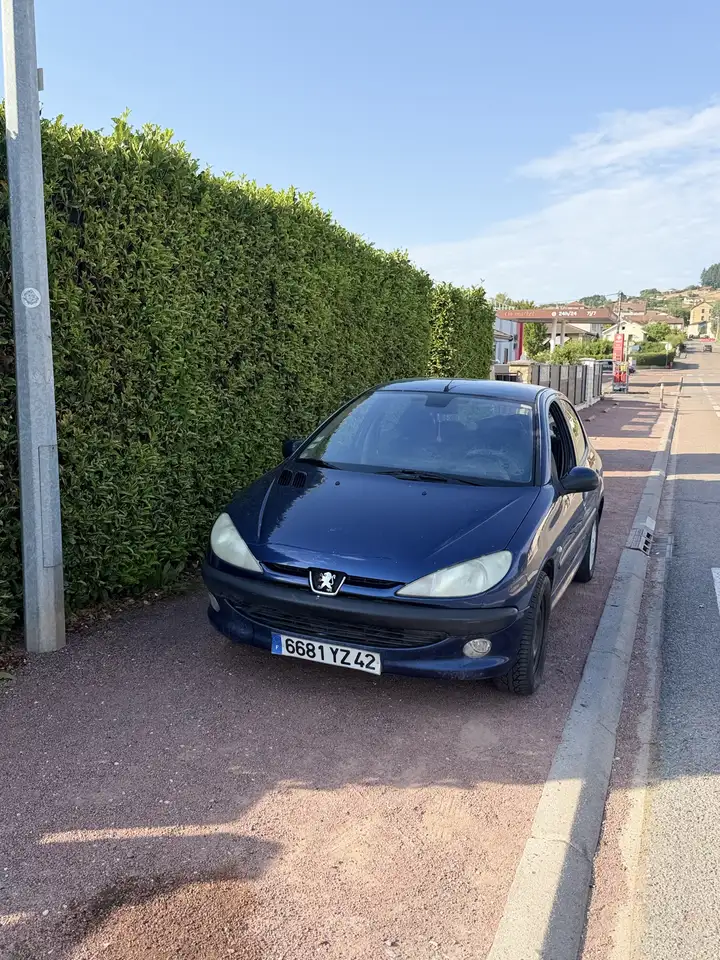 Peugeot 206 1.4 HDi 70ch BLUE LION Trendy