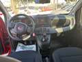 Fiat Panda III 2024 CROSS1.0 firefly hybrid 11.000KM LED Rosso - thumbnail 13