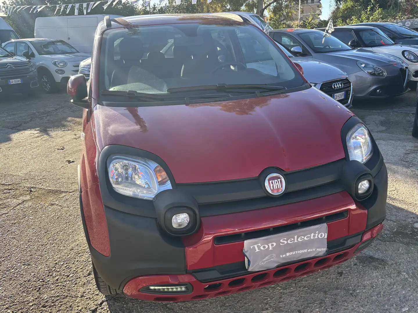 Fiat Panda III 2024 CROSS1.0 firefly hybrid 11.000KM LED Rosso - 2