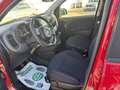 Fiat Panda III 2024 CROSS1.0 firefly hybrid 11.000KM LED Rosso - thumbnail 10