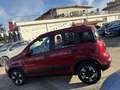 Fiat Panda III 2024 CROSS1.0 firefly hybrid 11.000KM LED Rosso - thumbnail 6