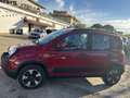 Fiat Panda III 2024 CROSS1.0 firefly hybrid 11.000KM LED Rosso - thumbnail 5