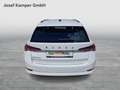 Skoda Octavia Ambition TDI DSG Weiß - thumbnail 4