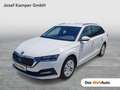 Skoda Octavia Ambition TDI DSG Weiß - thumbnail 1