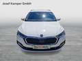 Skoda Octavia Ambition TDI DSG Weiß - thumbnail 8