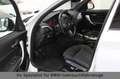 BMW 135 i Keyless*LenkradHz*Alcantara*Rückfahrkamera Weiß - thumbnail 12